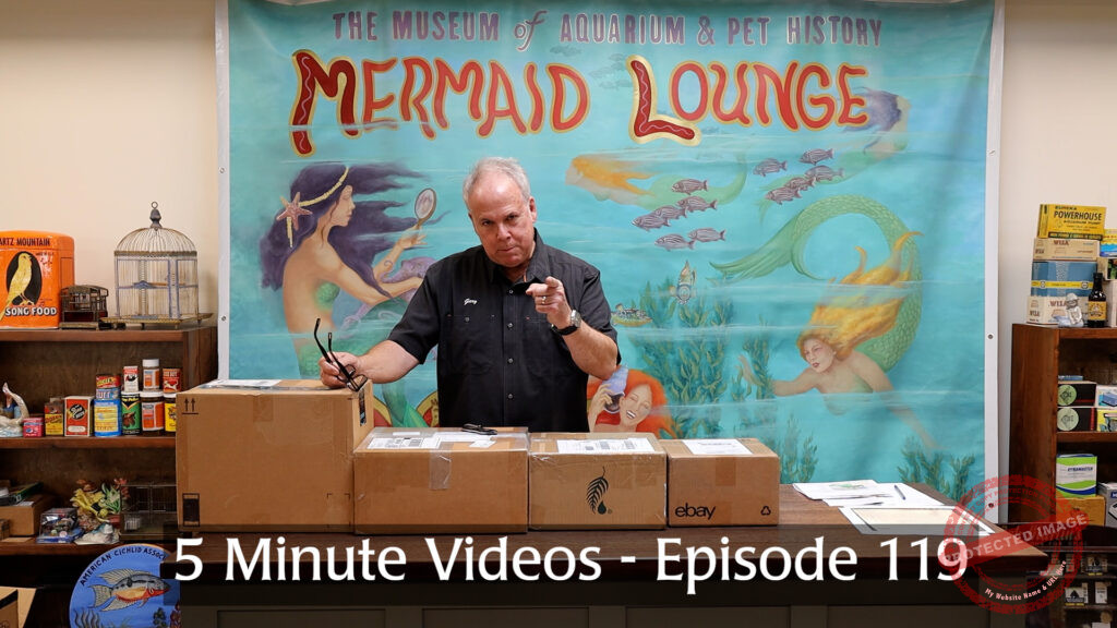 MOAPH 5 Minute Videos - Episode 119