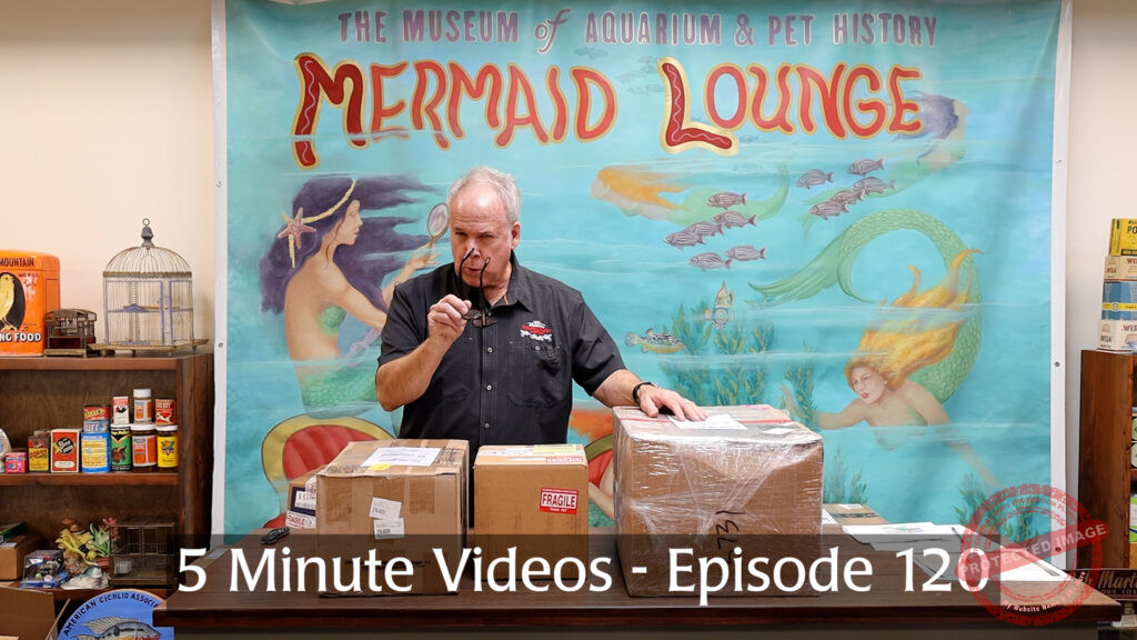 MOAPH 5 Minute Videos - Episode 120