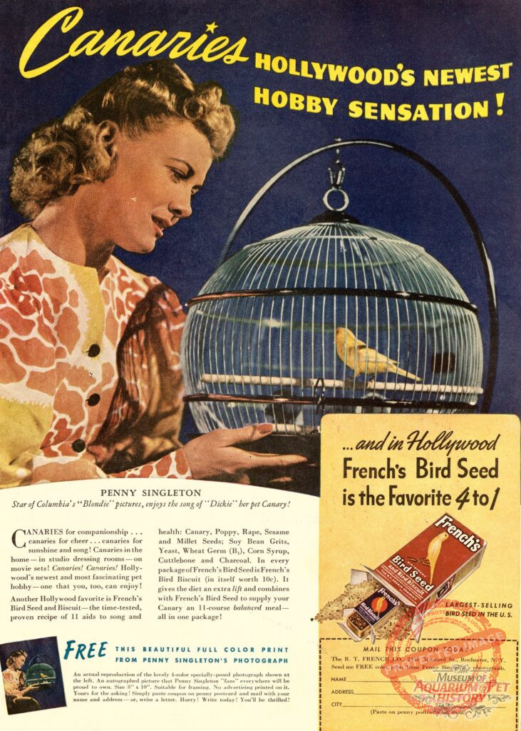 Penny Singleton French's Bird Seed 1950s Ad