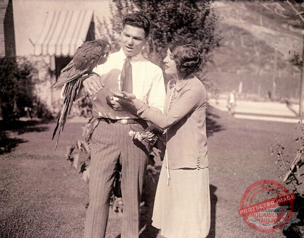 Mr. and Mrs. Jack Dempsey with Pet Parrot 1925