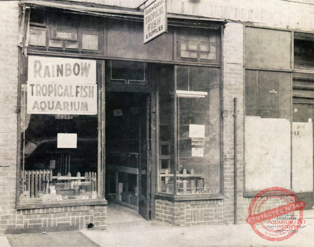 Rainbow Tropical Fish Aquarium Store