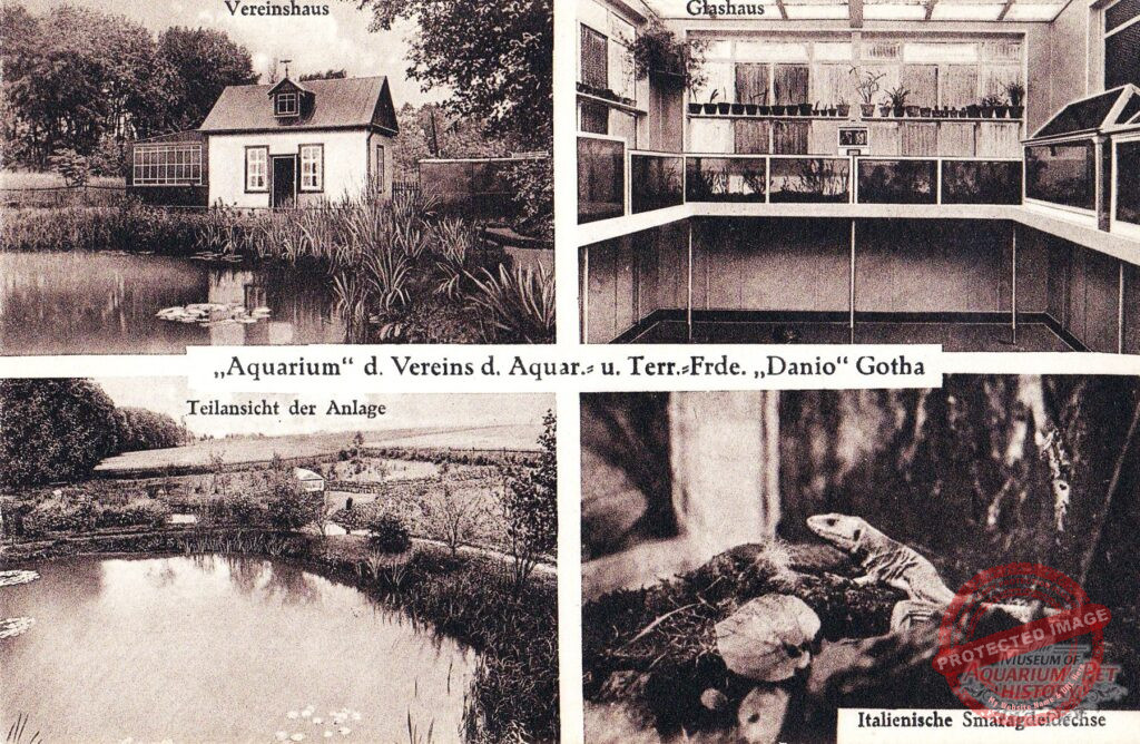Three Open-Air Aquariums in Gotha from 1929