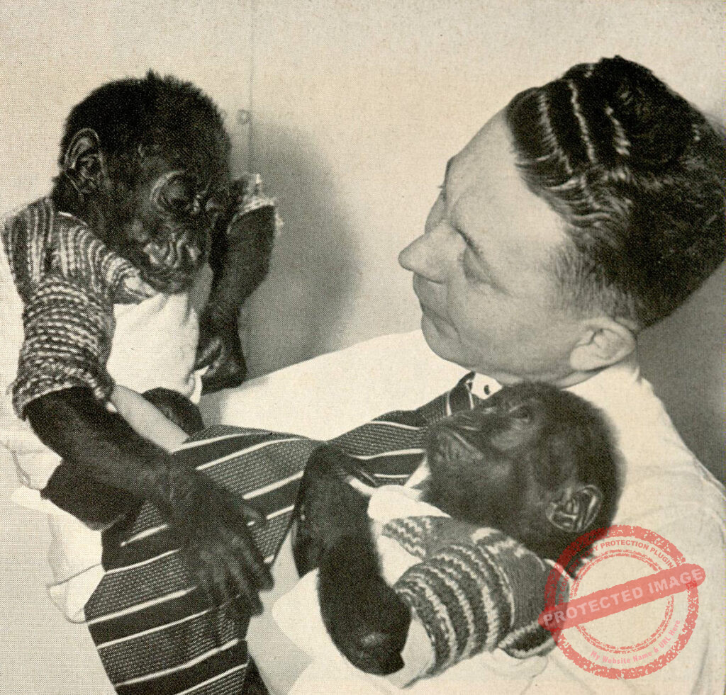 Chapter 17: Zoological Rarities - Wilde Tiere Frei Haus (Wild Animals/Free Delivery)