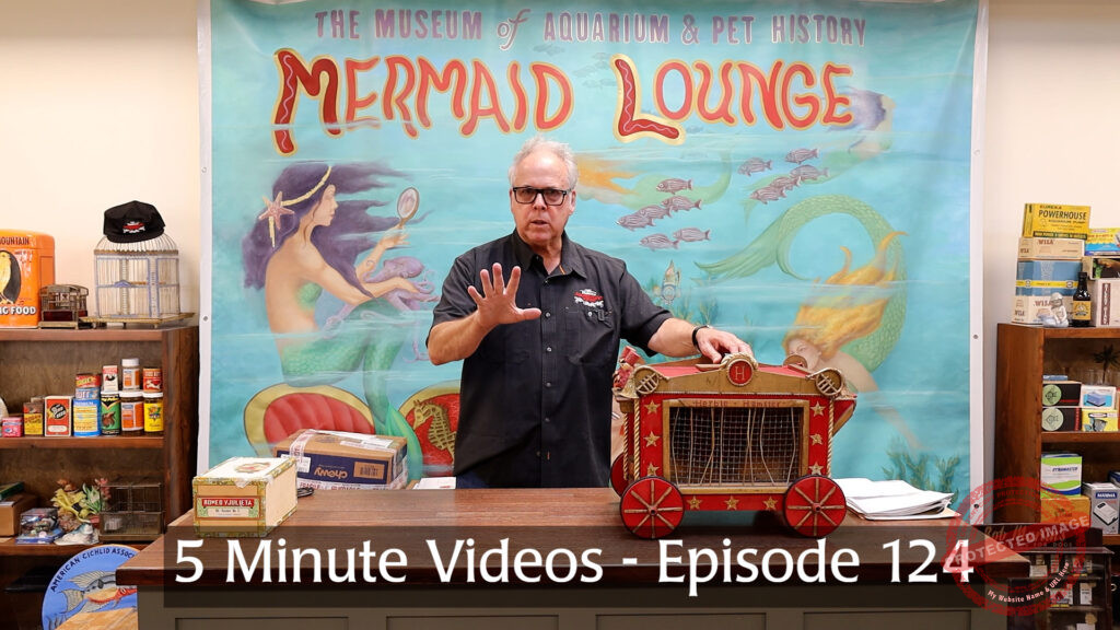 MOAPH 5 Minute Videos - Episode 124