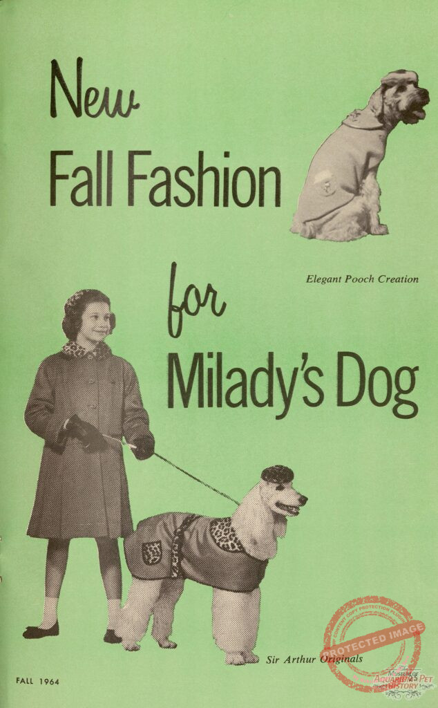 New Fashion for Milady's Dog in 1964