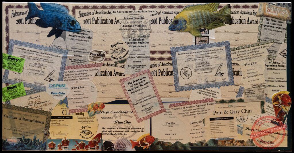 Pam Chin Award Collage