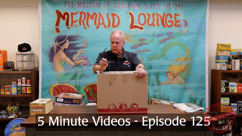 MOAPH 5 Minute Videos - Episode 125