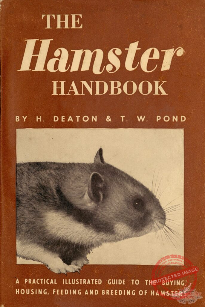 From a Deep Burrow (History of Hamsters in Captivity)