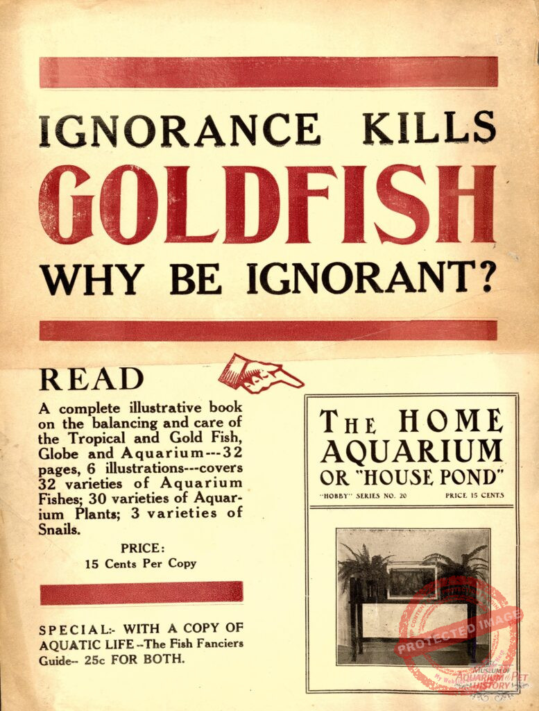 The Home Aquarium or House Pond 1920s Broadside