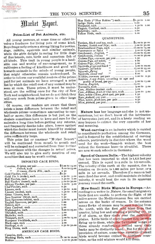 How Much is that Doggie in the Window - 1880s Style