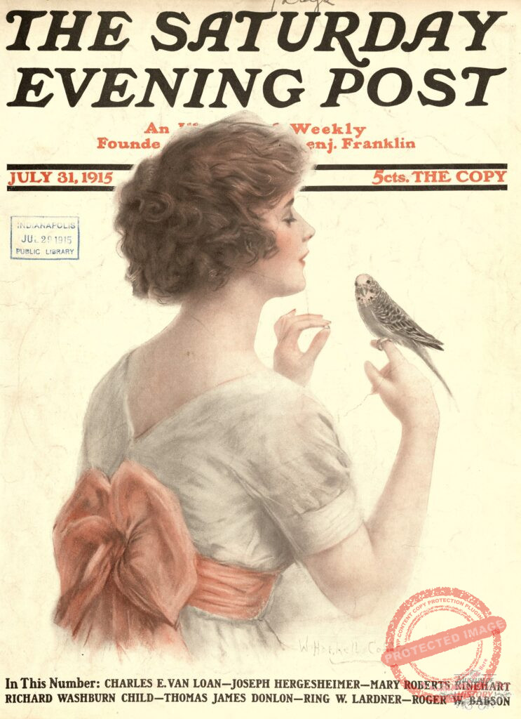 Saturday Evening Post 1915 Cover