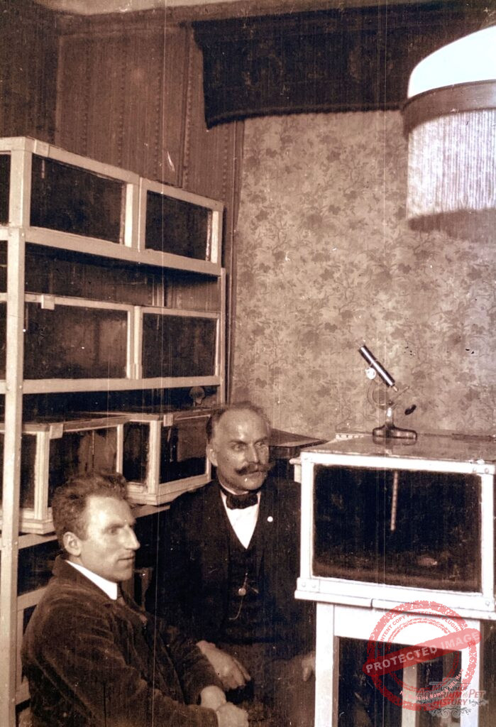 Survive, Rescue, Preserve – Keeping Aquariums and Terrariums in the Twelve Years of Fascism (The Aquarium Hobby during Hitler’s Reign 1933-1945 in Gotha)