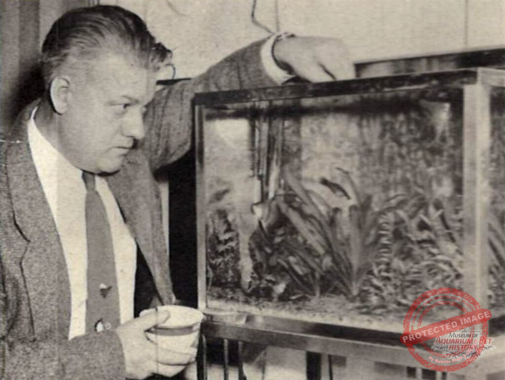 William Vorderwinkler Obituary