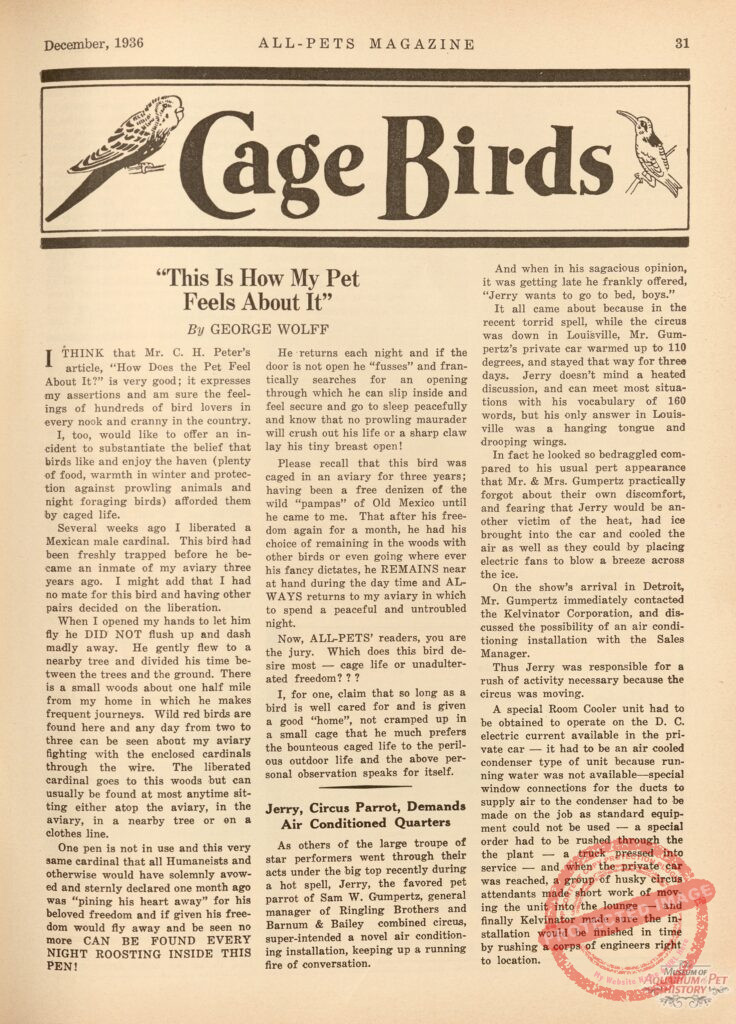 This is How My Pet Feels About It - Canary, Parakeet, and Other Captive Bird Escapees