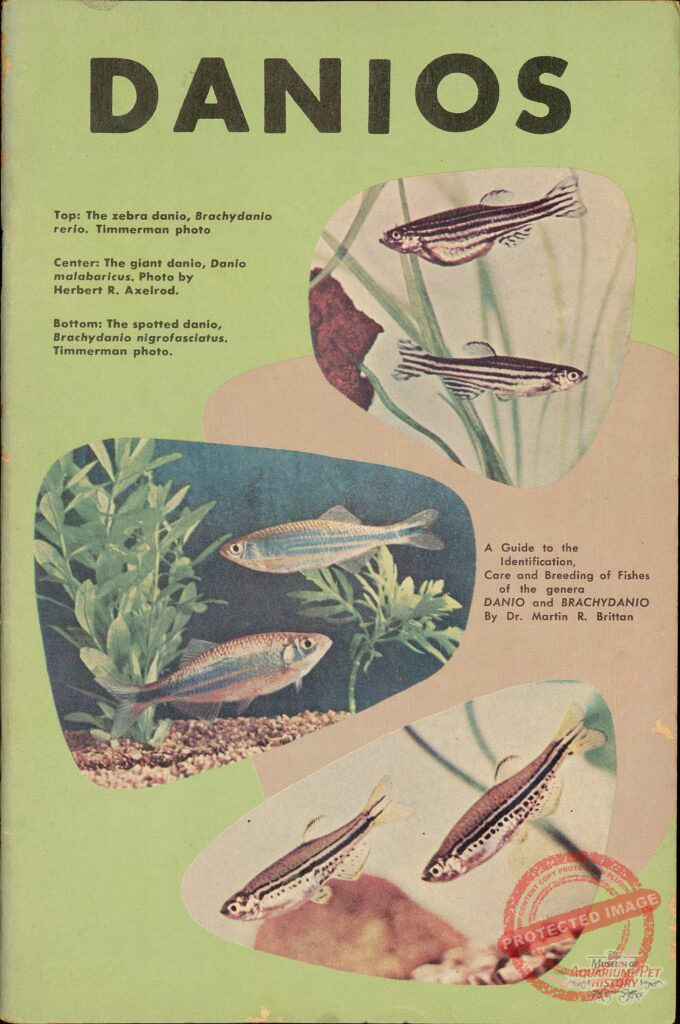 Memories from the Mesozoic