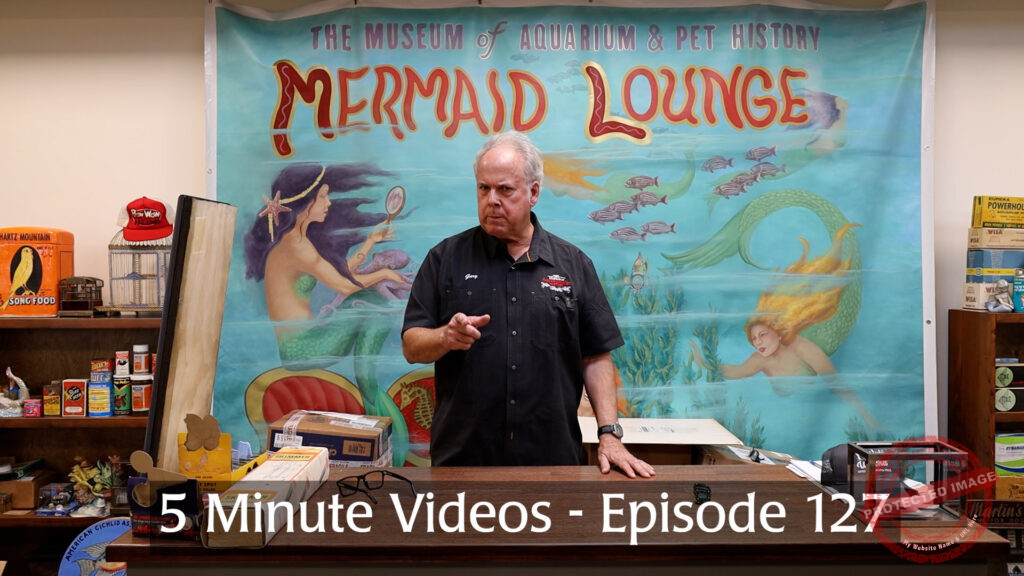 MOAPH 5 Minute Videos - Episode 127