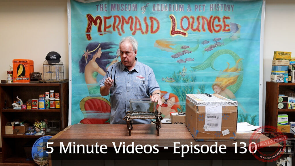 MOAPH 5 Minute Videos - Episode 130