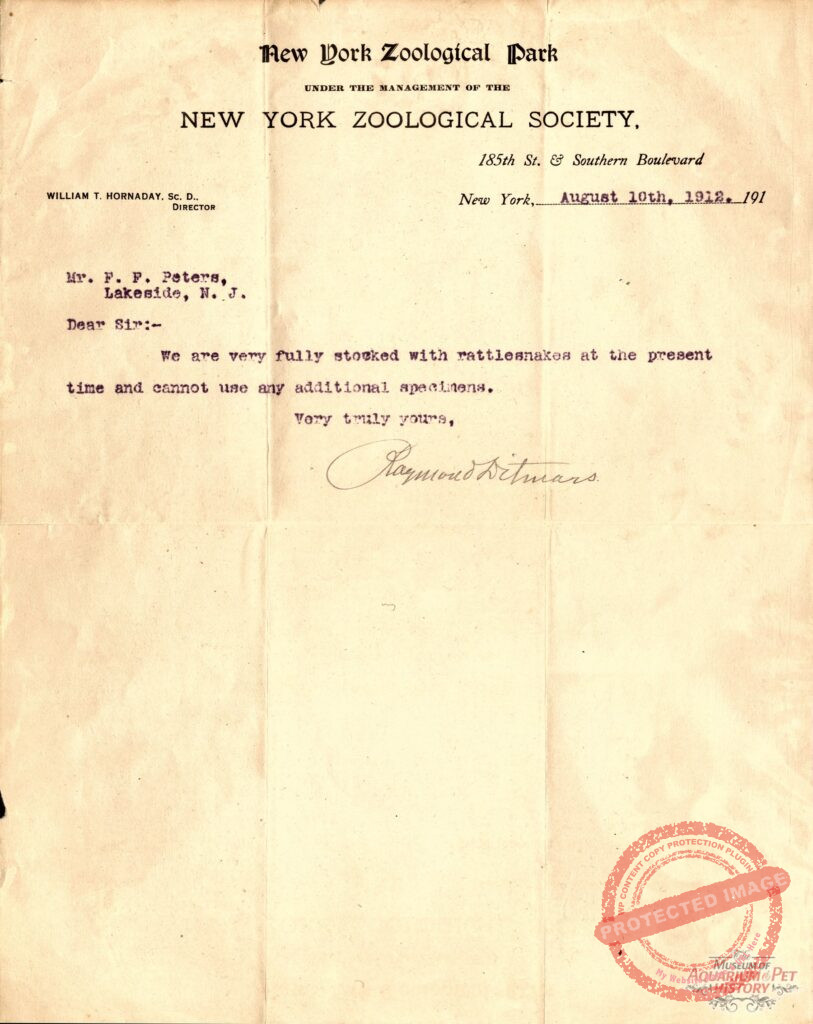 1912 New York Zoological Society Letter: Raymond Ditmars