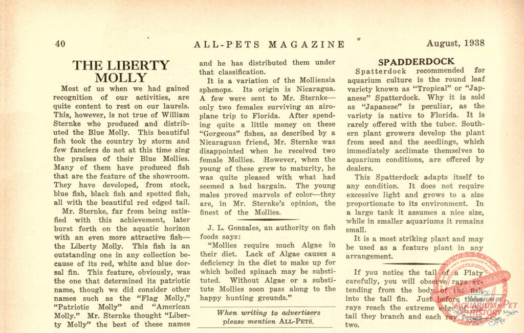 The Liberty Molly