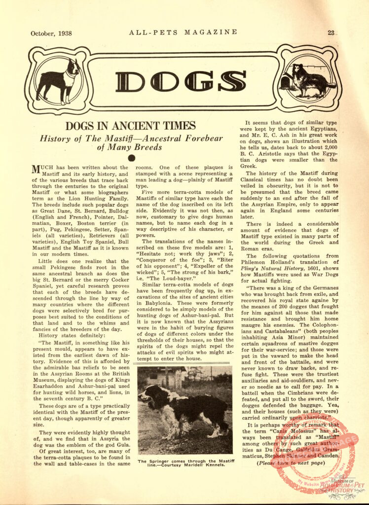 Dogs in Ancient Times