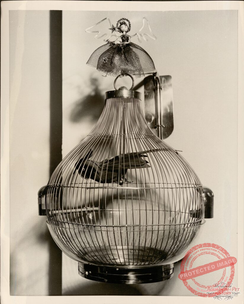 1955 English Brass Teardrop Birdcage