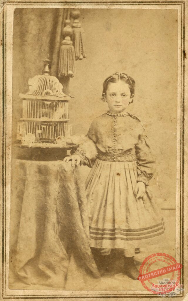 19th Century Photo of Young Girl with Rare G. Gunther Birdcage