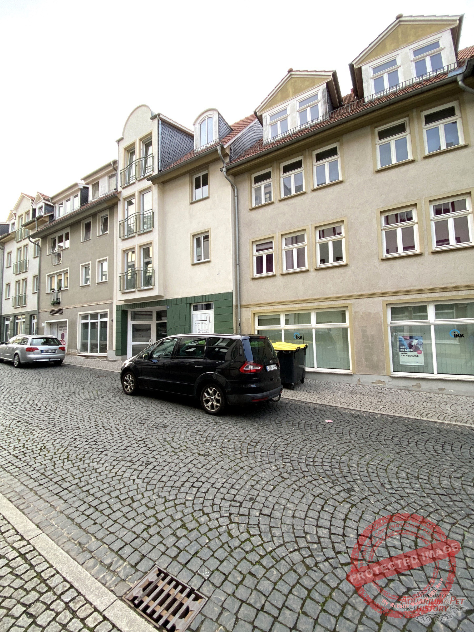 Hajo_Part-9_Photo-1.1
