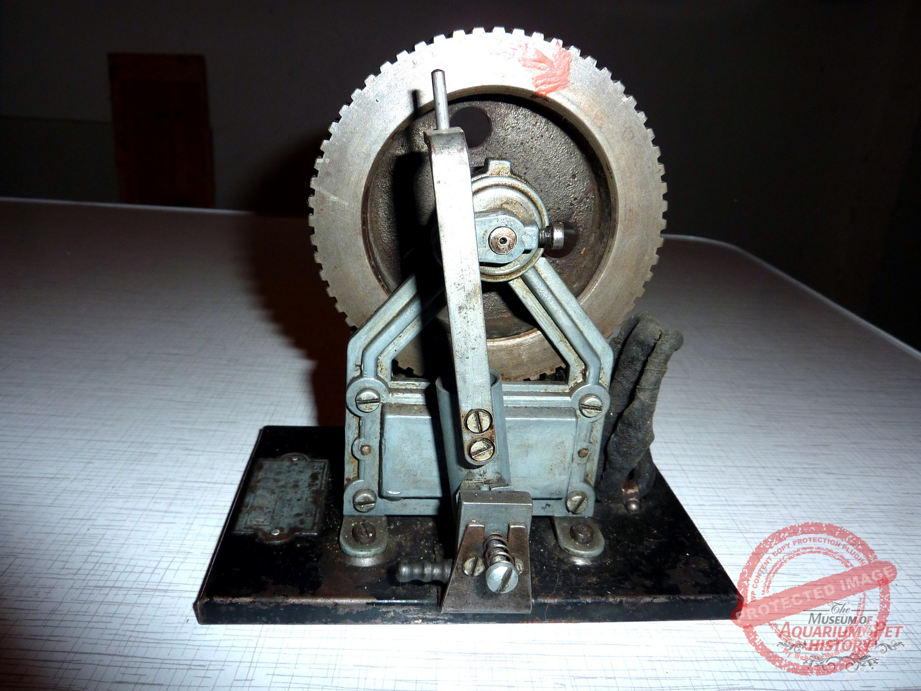 Hajo_Part-9_Photo-24