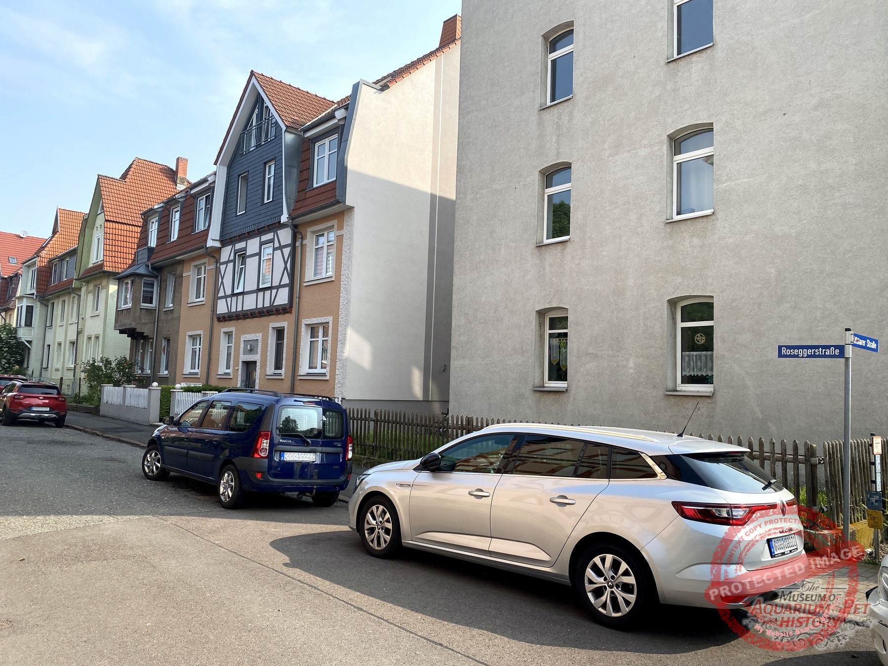 Hajo_Part-9_Photo-3.1