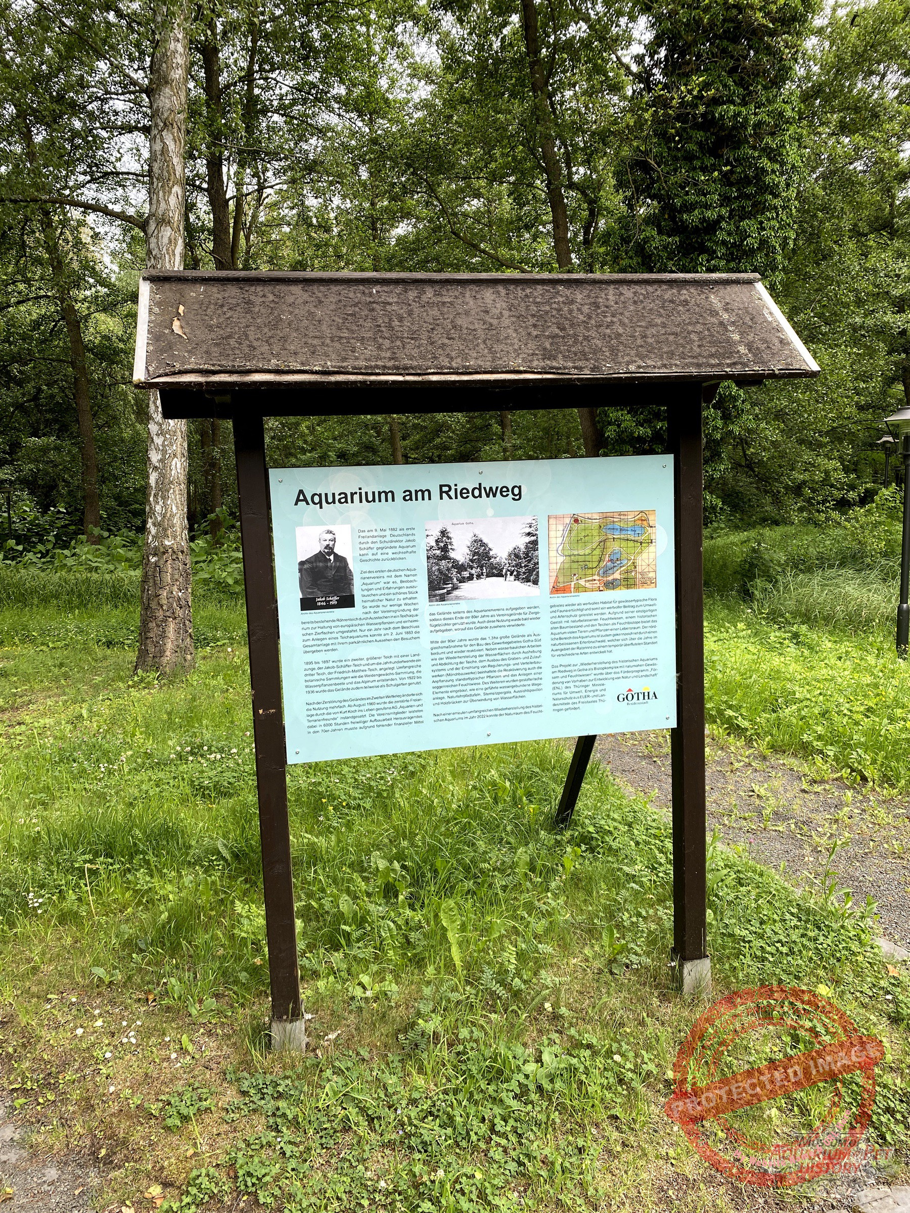 Hajo_Part-9_Photo-39