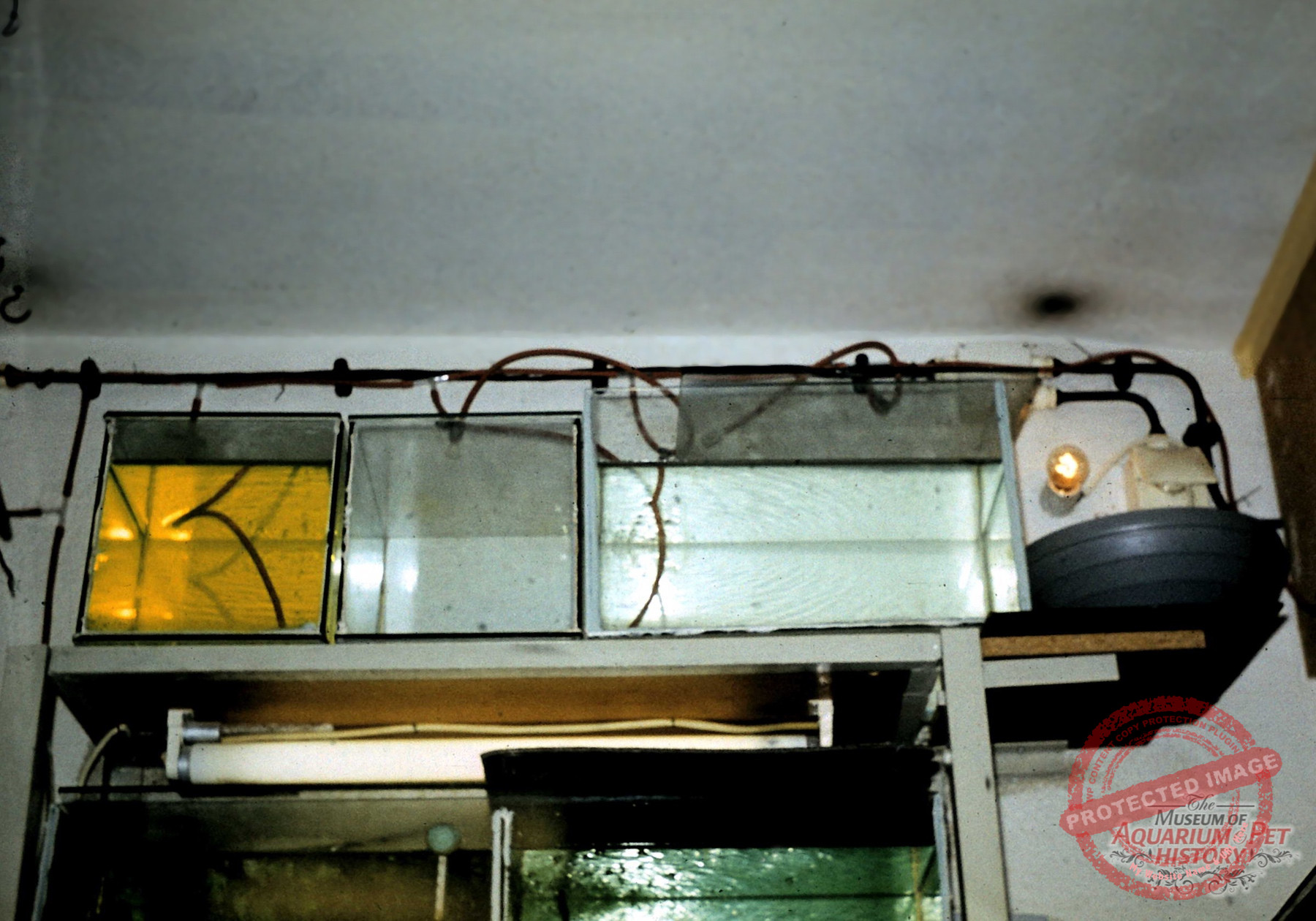 Hajo_Part-9_Photo-6.1