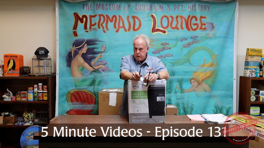 MOAPH 5 Minute Videos - Episode 131