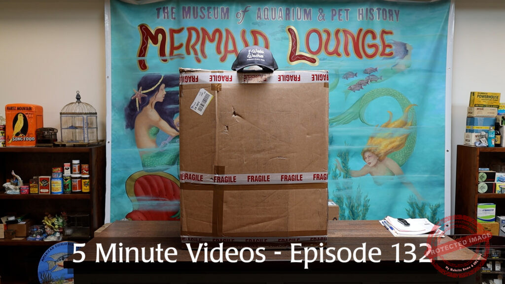 MOAPH 5 Minute Videos - Episode 132
