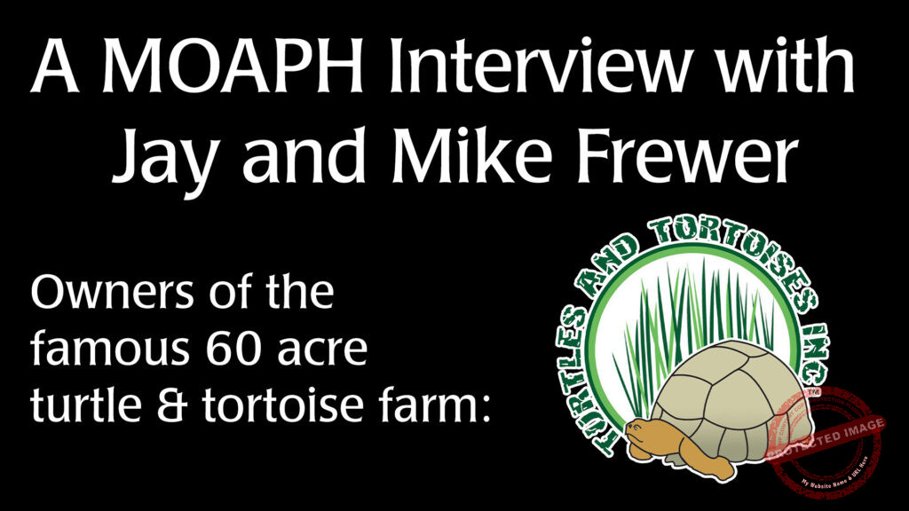 A MOAPH Interview with Mike and Jay Frewer