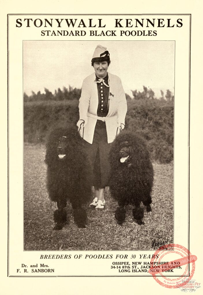 Dr. and Mrs. F.R. Sanborn's Stonywall Kennels Poodles 1938 Ad