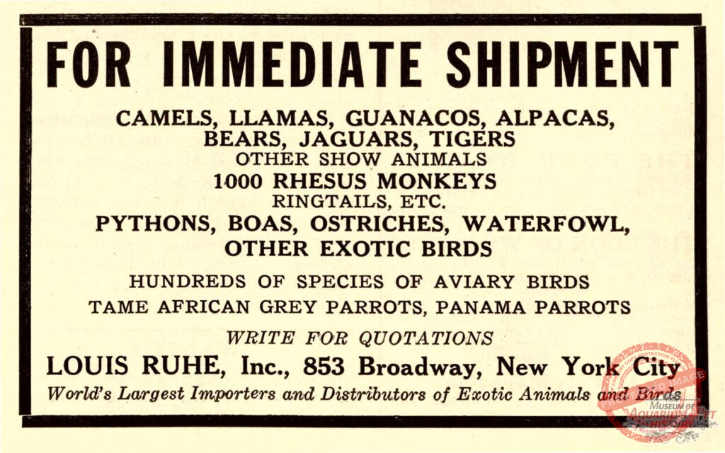 Collage of 1938 Animal Dealer Ads