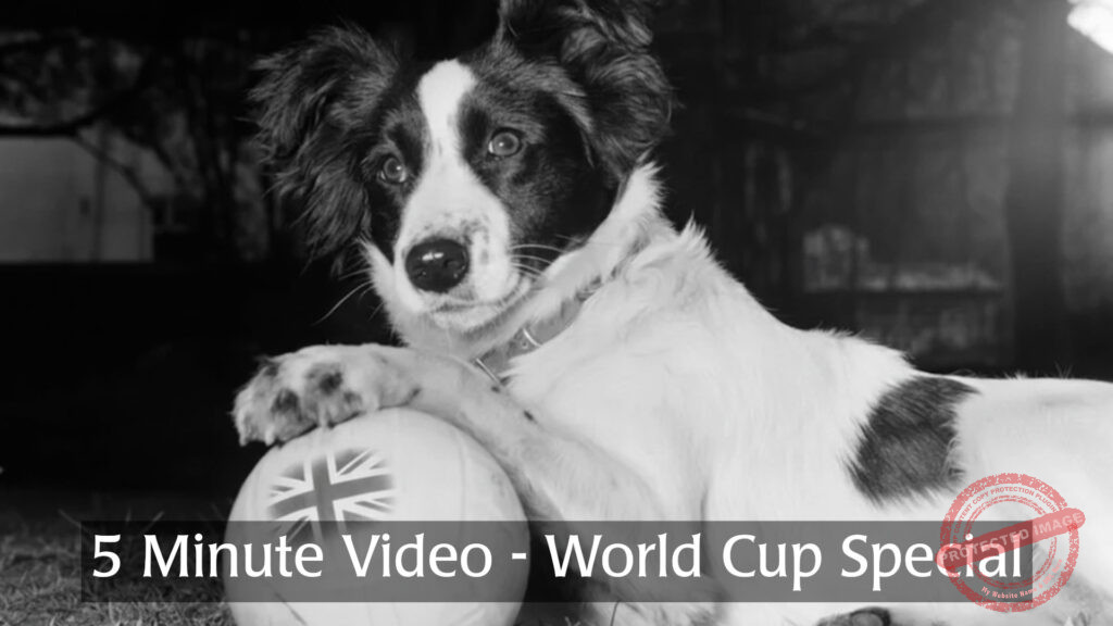 MOAPH 5 Minute Videos - World Cup Special