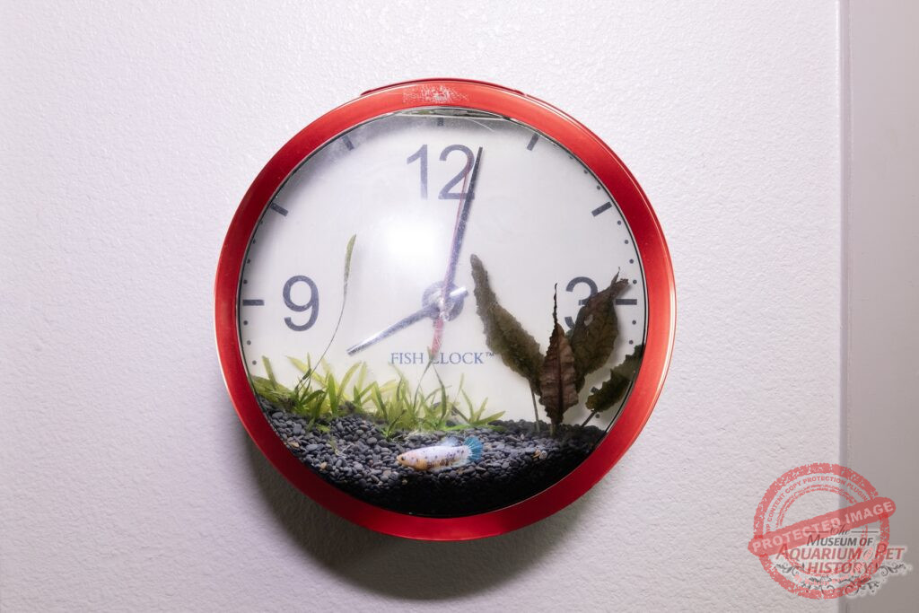 Fish Clock
