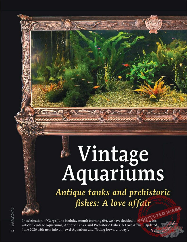 Vintage Aquariums - Antique tanks and prehistoric fishes: A love affair