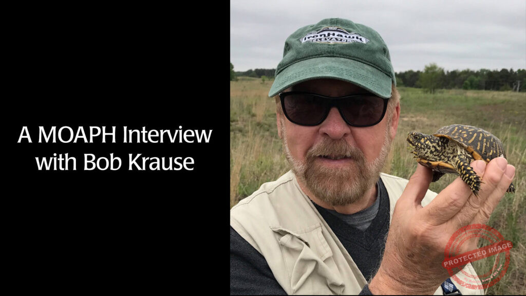 A MOAPH Interview with Bob Krause