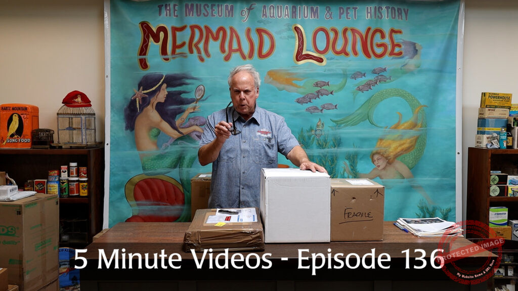 MOAPH 5 Minute Videos - Episode 136