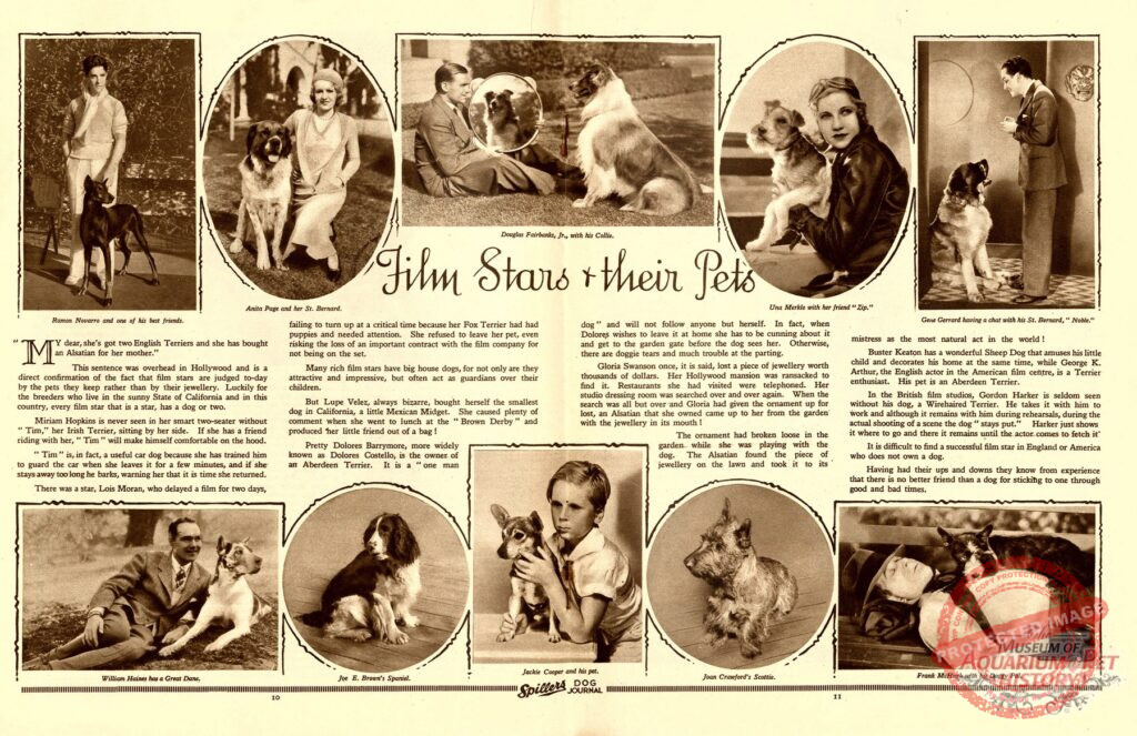 Film Stars & Their Pets