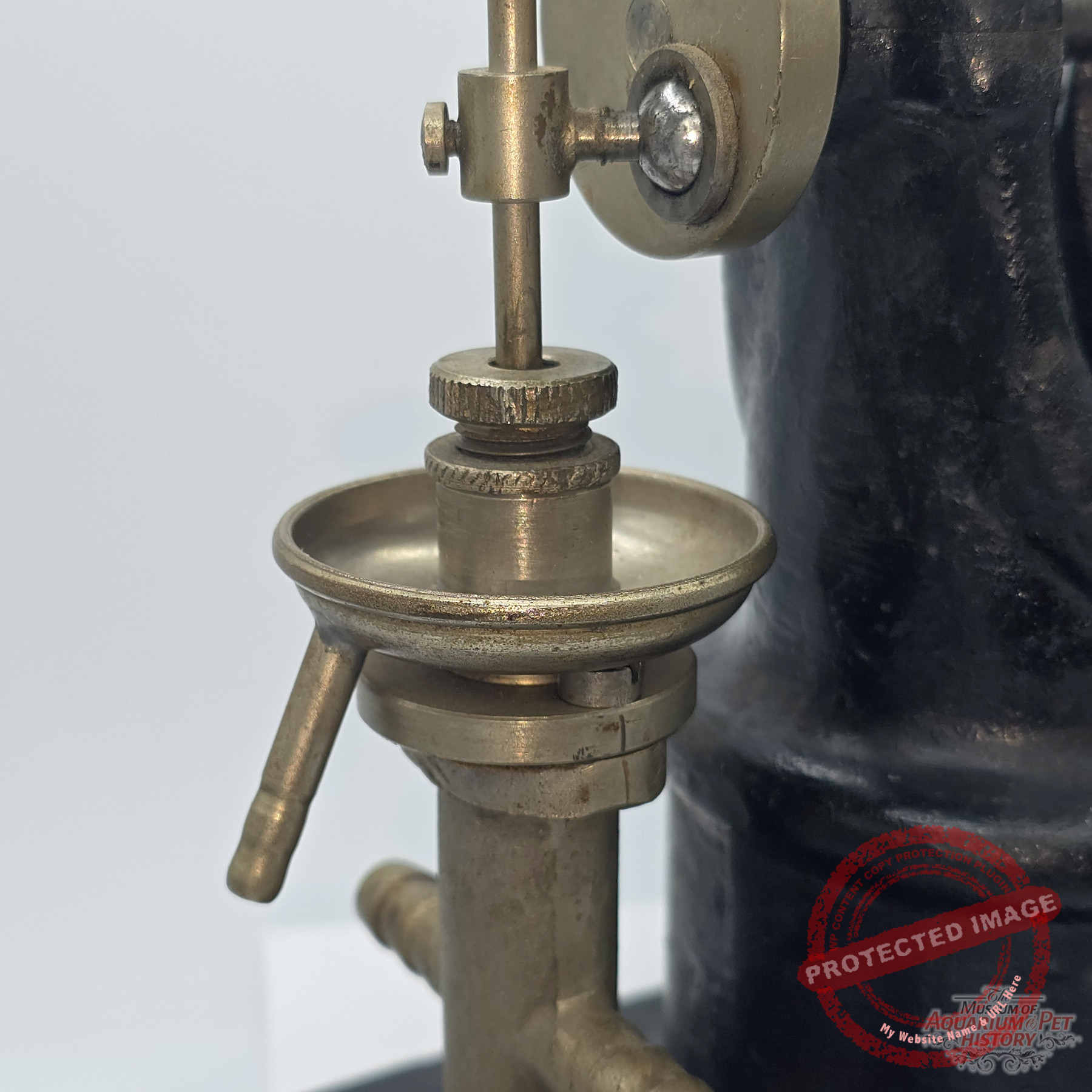 two-rare-steampunk-devices_19