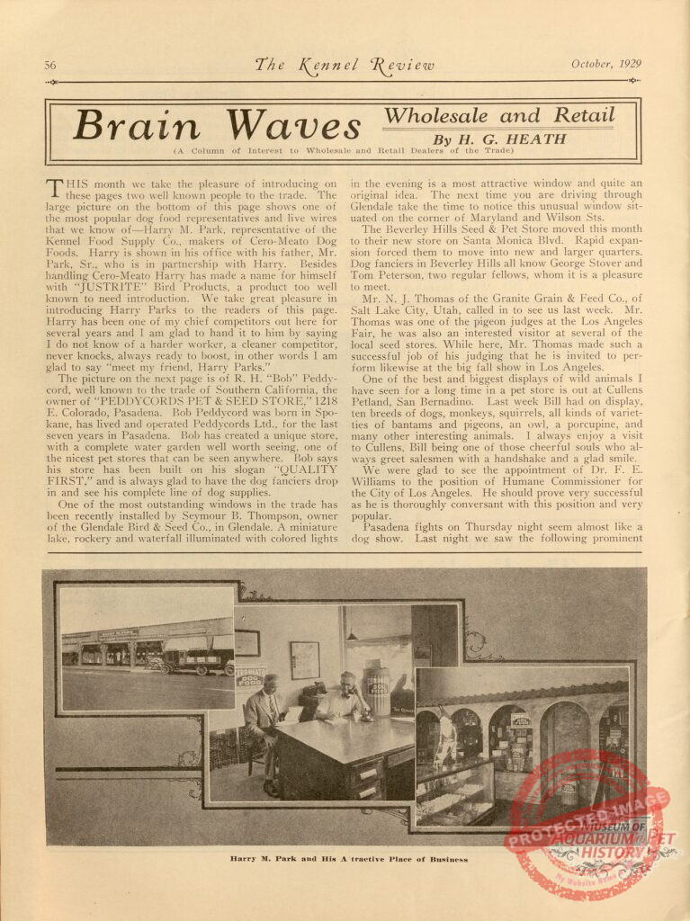 Brain Waves