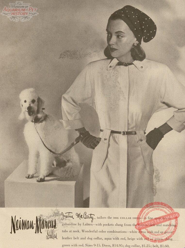 That's So Fetch! -- When Women Wore Dog Collars