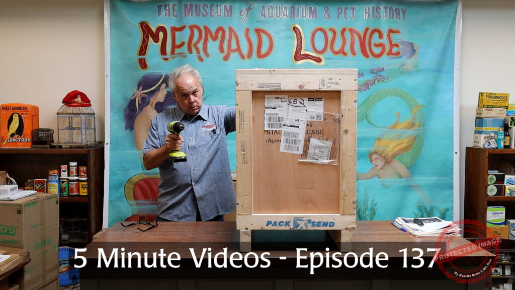 MOAPH 5 Minute Videos - Episode 137