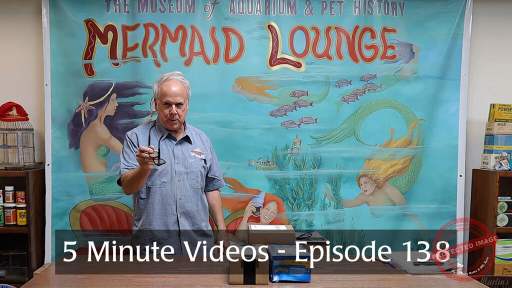 MOAPH 5 Minute Videos - Episode 138