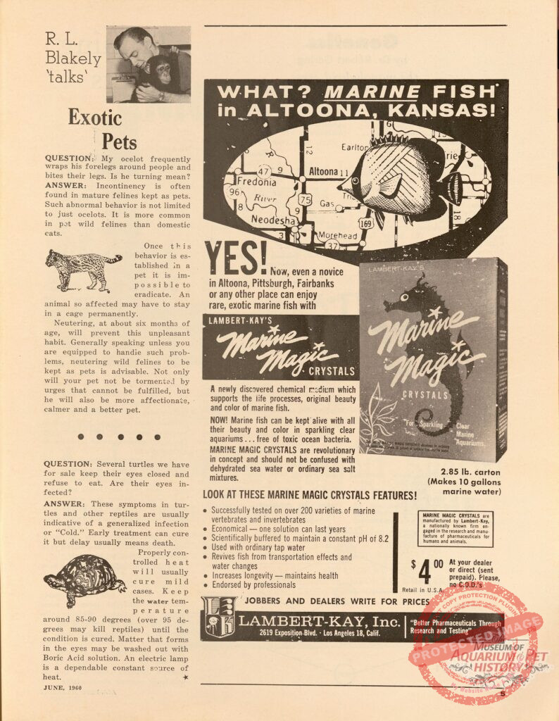 Marine Magic 1960 Ad