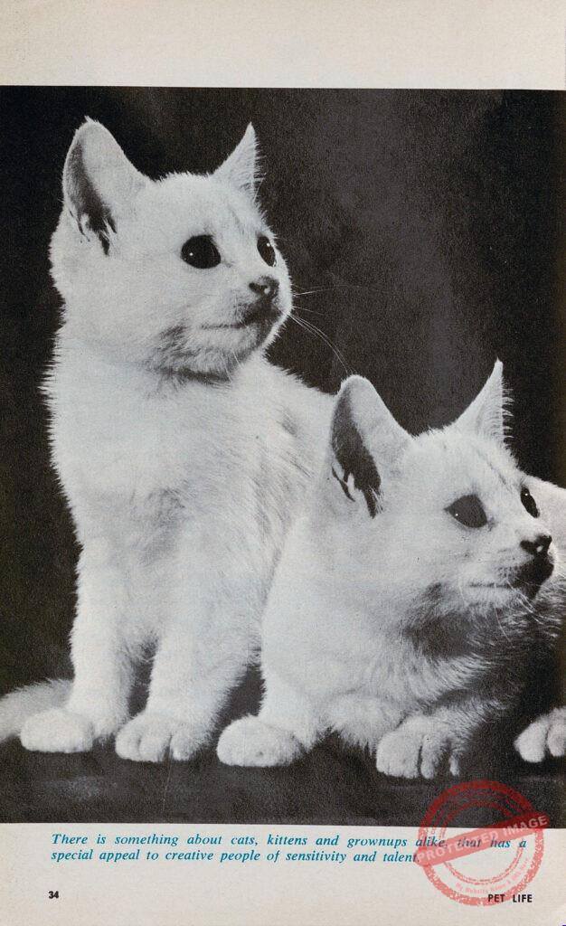 Of Actors, Poets, Composers, and... Cats