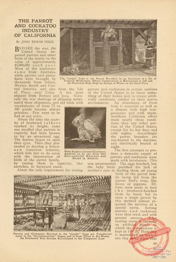 The Parrot and Cockatoo Industry of California